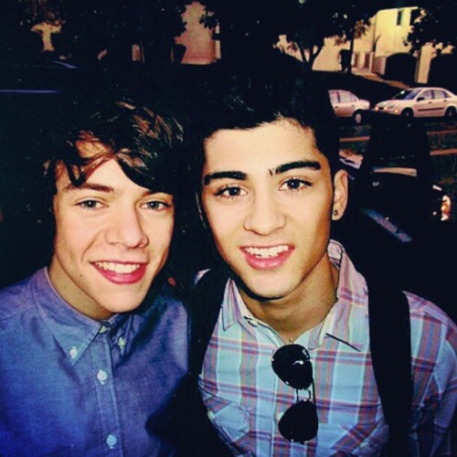 zarry stalik